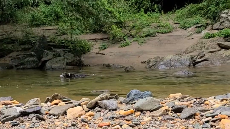 20220716_142640.mp4